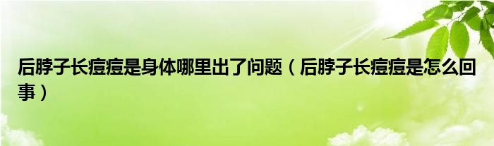 后脖子長(zhǎng)痘痘是身體哪里出了問(wèn)題（后脖子長(zhǎng)痘痘是怎么回事）