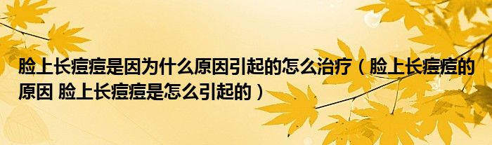 臉上長(zhǎng)痘痘是因?yàn)槭裁丛蛞鸬脑趺粗委煟樕祥L(zhǎng)痘痘的原因 臉上長(zhǎng)痘痘是怎么引起的）