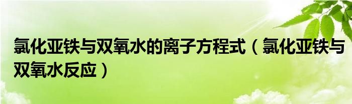 氯化亞鐵與雙氧水的離子方程式（氯化亞鐵與雙氧水反應(yīng)）