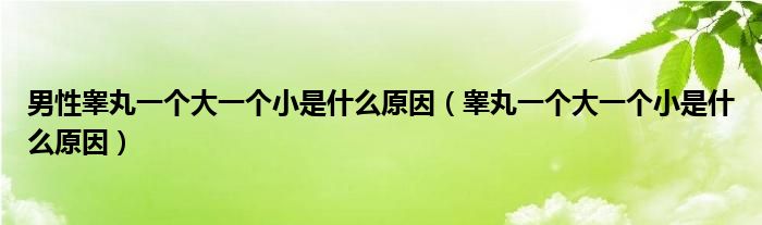 男性睪丸一個(gè)大一個(gè)小是什么原因（睪丸一個(gè)大一個(gè)小是什么原因）