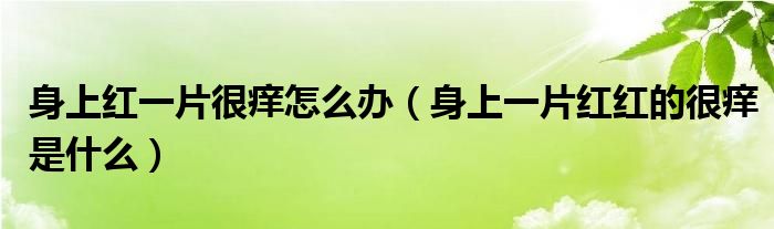 身上紅一片很癢怎么辦（身上一片紅紅的很癢是什么）