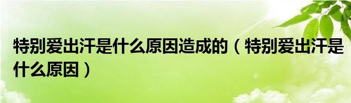 特別愛(ài)出汗是什么原因造成的（特別愛(ài)出汗是什么原因）