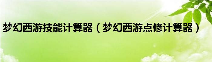 夢(mèng)幻西游技能計(jì)算器（夢(mèng)幻西游點(diǎn)修計(jì)算器）