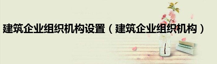 建筑企業(yè)組織機構設置（建筑企業(yè)組織機構）