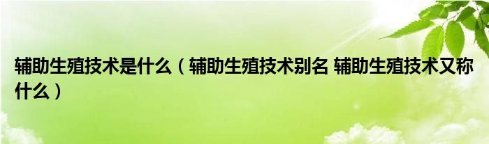 輔助生殖技術(shù)是什么（輔助生殖技術(shù)別名 輔助生殖技術(shù)又稱什么）