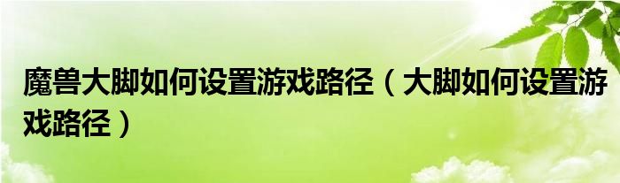 魔獸大腳如何設(shè)置游戲路徑（大腳如何設(shè)置游戲路徑）