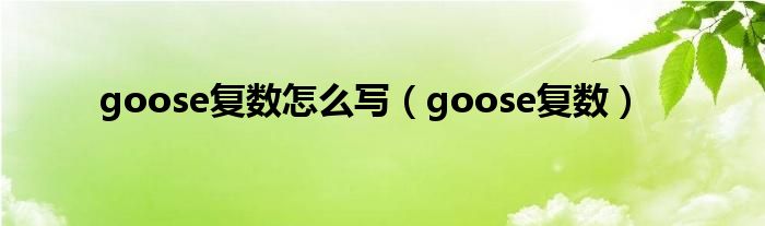 goose復數(shù)怎么寫（goose復數(shù)）