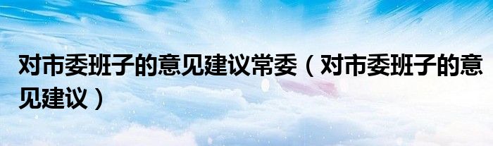 對市委班子的意見建議常委（對市委班子的意見建議）