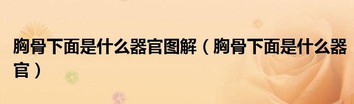 胸骨下面是什么器官圖解（胸骨下面是什么器官）