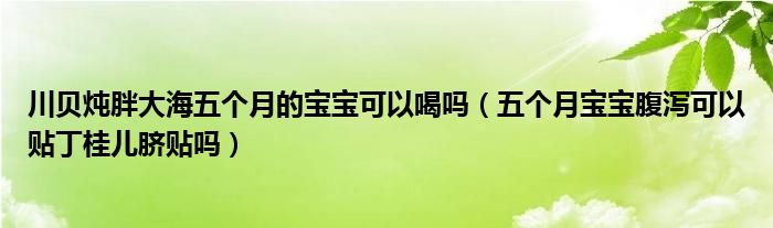 川貝燉胖大海五個月的寶寶可以喝嗎（五個月寶寶腹瀉可以貼丁桂兒臍貼嗎）