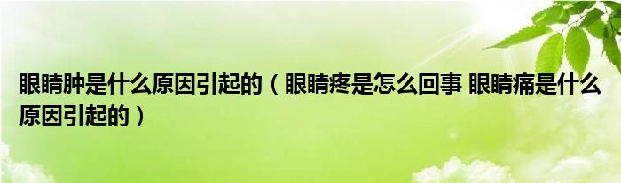 眼睛腫是什么原因引起的（眼睛疼是怎么回事 眼睛痛是什么原因引起的）