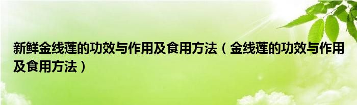 新鮮金線蓮的功效與作用及食用方法（金線蓮的功效與作用及食用方法）