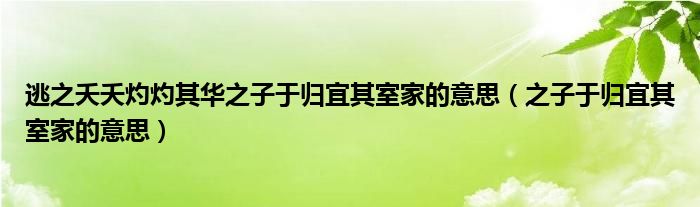 逃之夭夭灼灼其華之子于歸宜其室家的意思（之子于歸宜其室家的意思）