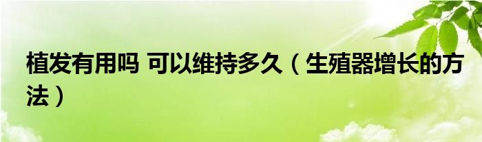 植發(fā)有用嗎 可以維持多久（生殖器增長的方法）