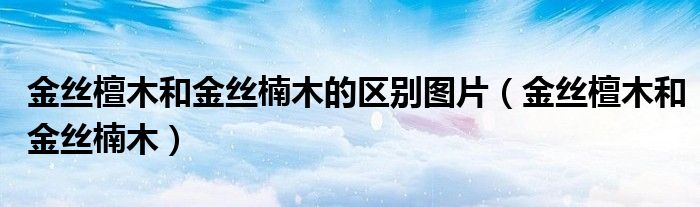 金絲檀木和金絲楠木的區(qū)別圖片（金絲檀木和金絲楠木）