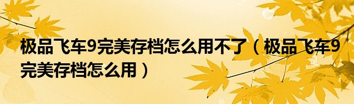 極品飛車9完美存檔怎么用不了（極品飛車9完美存檔怎么用）