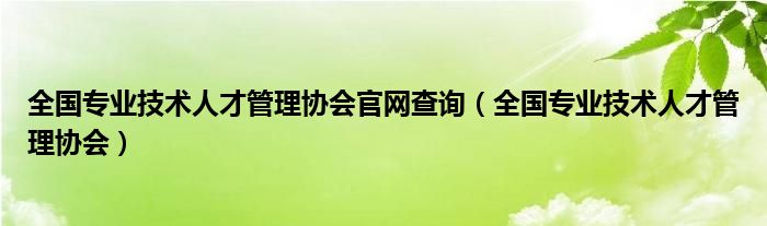 全國專業(yè)技術人才管理協(xié)會官網(wǎng)查詢（全國專業(yè)技術人才管理協(xié)會）