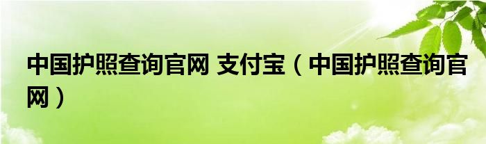 中國護(hù)照查詢官網(wǎng) 支付寶（中國護(hù)照查詢官網(wǎng)）