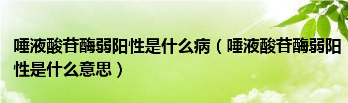 唾液酸苷酶弱陽性是什么?。ㄍ僖核彳彰溉蹶栃允鞘裁匆馑迹?class='thumb lazy' /></a>
		    <header>
		<h2><a  href=