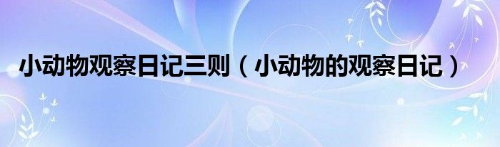 小動物觀察日記三則（小動物的觀察日記）