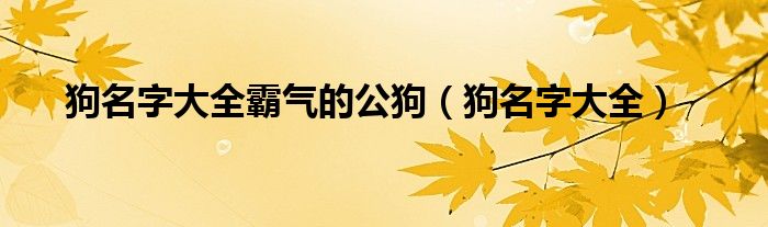 狗名字大全霸氣的公狗（狗名字大全）