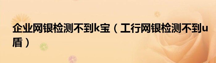 企業(yè)網(wǎng)銀檢測不到k寶（工行網(wǎng)銀檢測不到u盾）