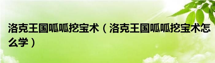 洛克王國(guó)呱呱挖寶術(shù)（洛克王國(guó)呱呱挖寶術(shù)怎么學(xué)）