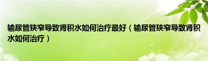 輸尿管狹窄導(dǎo)致腎積水如何治療最好（輸尿管狹窄導(dǎo)致腎積水如何治療）