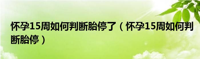 懷孕15周如何判斷胎停了（懷孕15周如何判斷胎停）