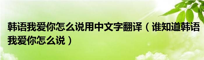 韓語我愛你怎么說用中文字翻譯（誰知道韓語我愛你怎么說）