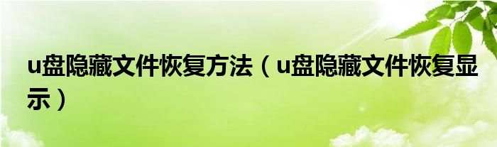 u盤隱藏文件恢復方法（u盤隱藏文件恢復顯示）