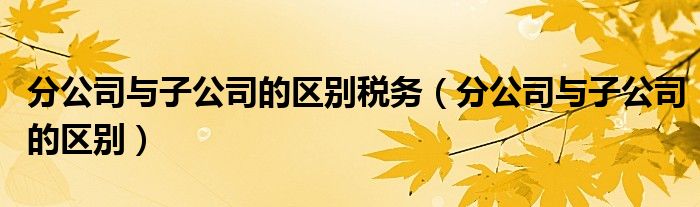 分公司與子公司的區(qū)別稅務(wù)（分公司與子公司的區(qū)別）