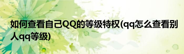 如何查看自己QQ的等級特權(quán)(qq怎么查看別人qq等級)