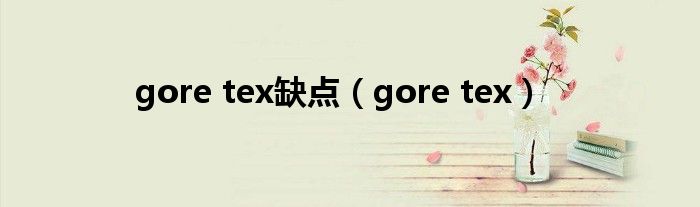 gore tex缺點(diǎn)（gore tex）