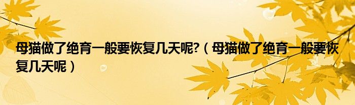 母貓做了絕育一般要恢復(fù)幾天呢?（母貓做了絕育一般要恢復(fù)幾天呢）