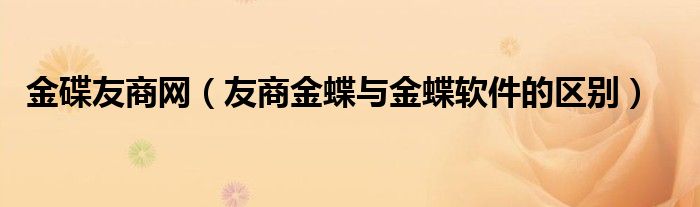 金碟友商網(wǎng)（友商金蝶與金蝶軟件的區(qū)別）