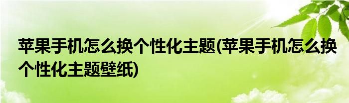 蘋(píng)果手機(jī)怎么換個(gè)性化主題(蘋(píng)果手機(jī)怎么換個(gè)性化主題壁紙)