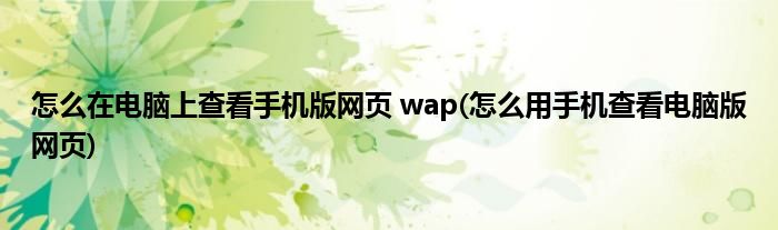 怎么在電腦上查看手機版網(wǎng)頁 wap(怎么用手機查看電腦版網(wǎng)頁)