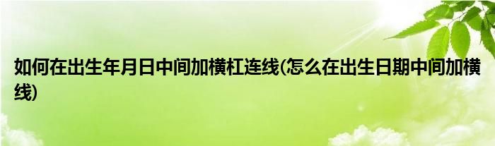 如何在出生年月日中間加橫杠連線(怎么在出生日期中間加橫線)