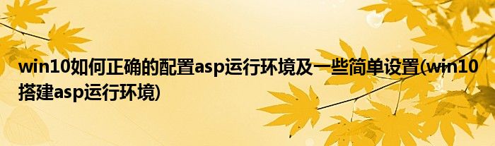 win10如何正確的配置asp運(yùn)行環(huán)境及一些簡(jiǎn)單設(shè)置(win10搭建asp運(yùn)行環(huán)境)