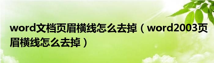 word文檔頁(yè)眉橫線怎么去掉（word2003頁(yè)眉橫線怎么去掉）