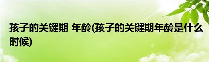 孩子的關(guān)鍵期 年齡(孩子的關(guān)鍵期年齡是什么時候)