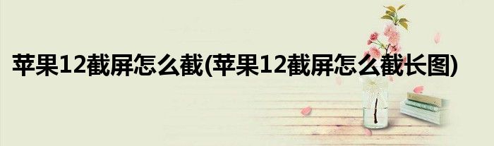 蘋果12截屏怎么截(蘋果12截屏怎么截長圖)