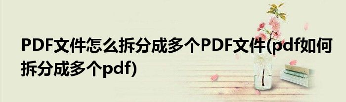 PDF文件怎么拆分成多個(gè)PDF文件(pdf如何拆分成多個(gè)pdf)