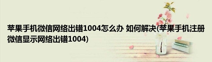 蘋(píng)果手機(jī)微信網(wǎng)絡(luò)出錯(cuò)1004怎么辦 如何解決(蘋(píng)果手機(jī)注冊(cè)微信顯示網(wǎng)絡(luò)出錯(cuò)1004)