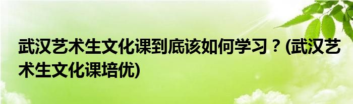 武漢藝術(shù)生文化課到底該如何學(xué)習(xí)？(武漢藝術(shù)生文化課培優(yōu))