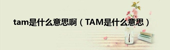 tam是什么意思?。═AM是什么意思）