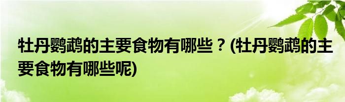 牡丹鸚鵡的主要食物有哪些？(牡丹鸚鵡的主要食物有哪些呢)