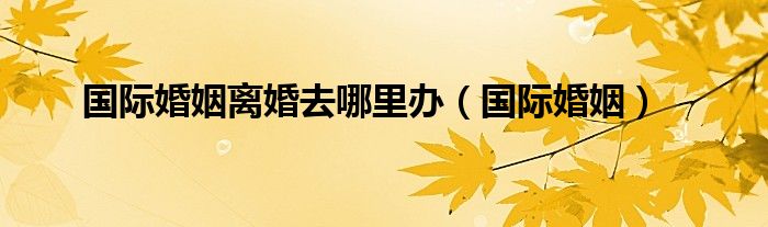 國(guó)際婚姻離婚去哪里辦（國(guó)際婚姻）