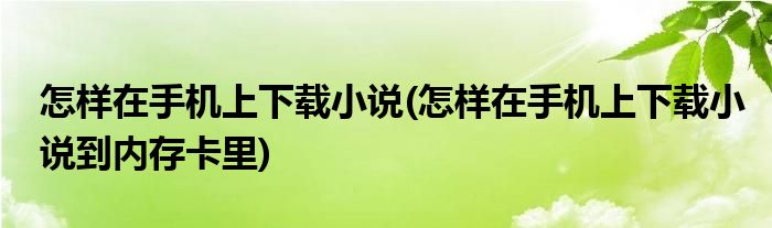 怎樣在手機(jī)上下載小說(怎樣在手機(jī)上下載小說到內(nèi)存卡里)